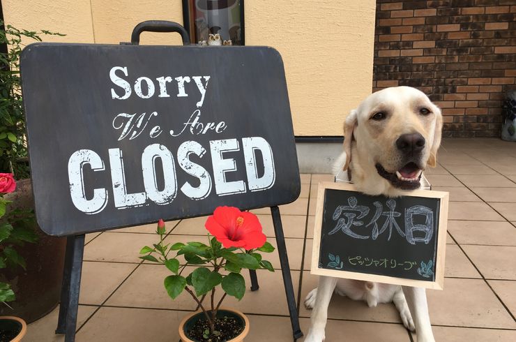 豊橋　ピザ店　定休日