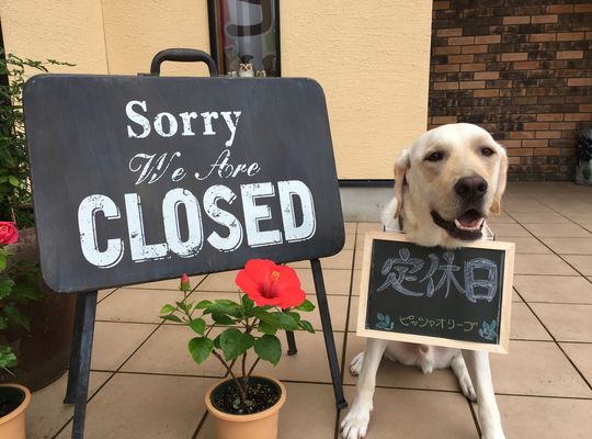 豊橋　ピザ店　定休日