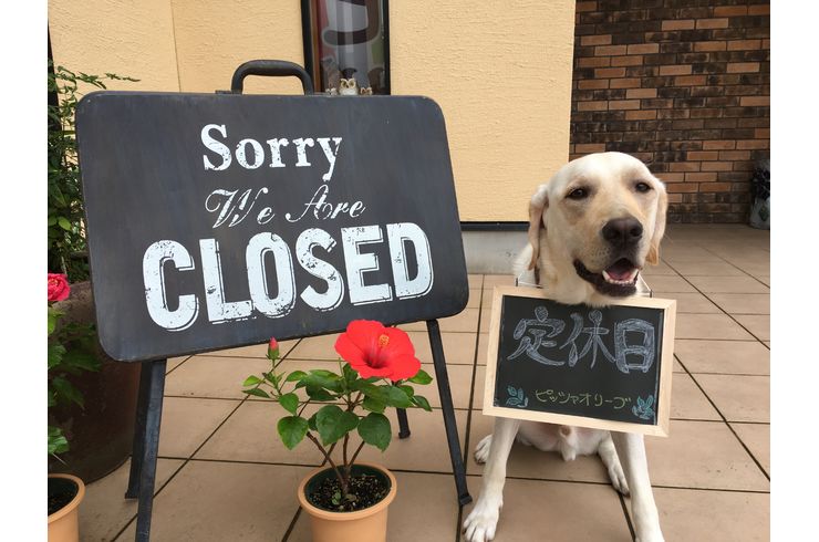 豊橋　ピザ店　定休日